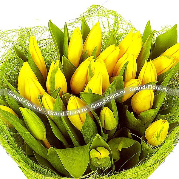 Красивая сказка - букет из желтых тюльпанов
