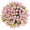 101 нежно-розовый тюльпан
